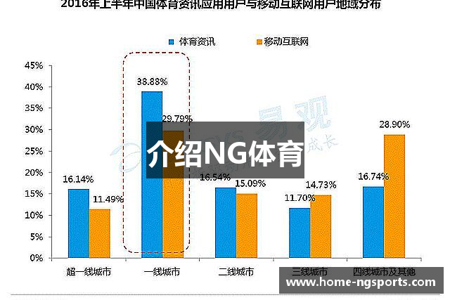 介绍NG体育